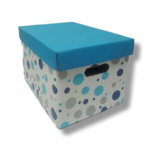 Caja Archivo